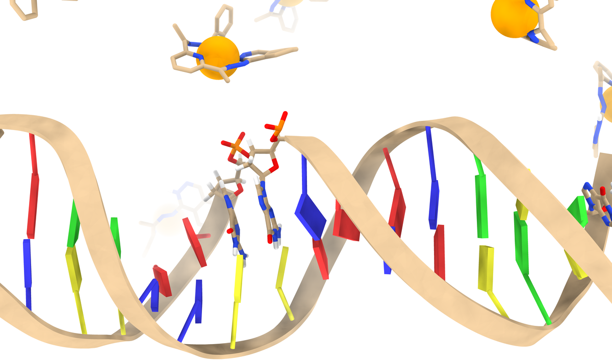 Navigating the Virtual Lab: In Silico Analysis in Rational Drug Design