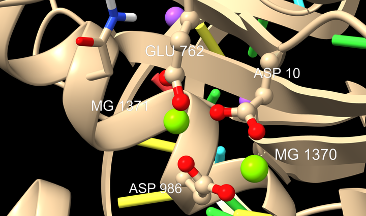 How in silico methods accelerate innovations in biotechnology and pharmaceuticals